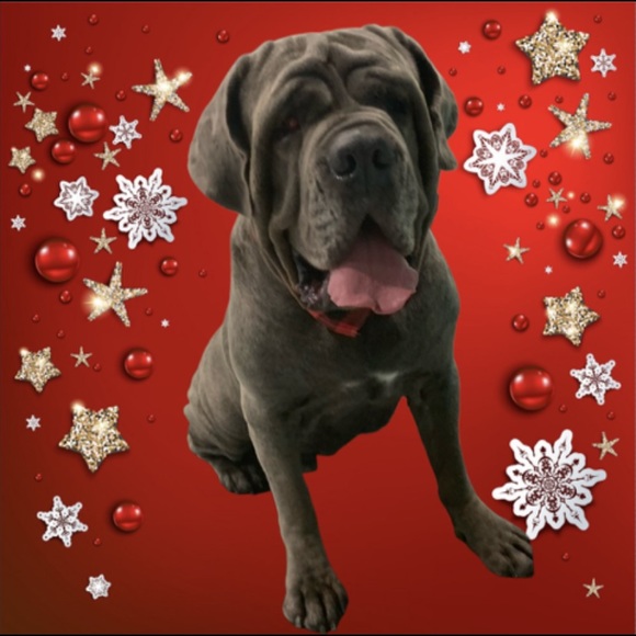 Meet your Posher, Brick - Picture 1 of 1